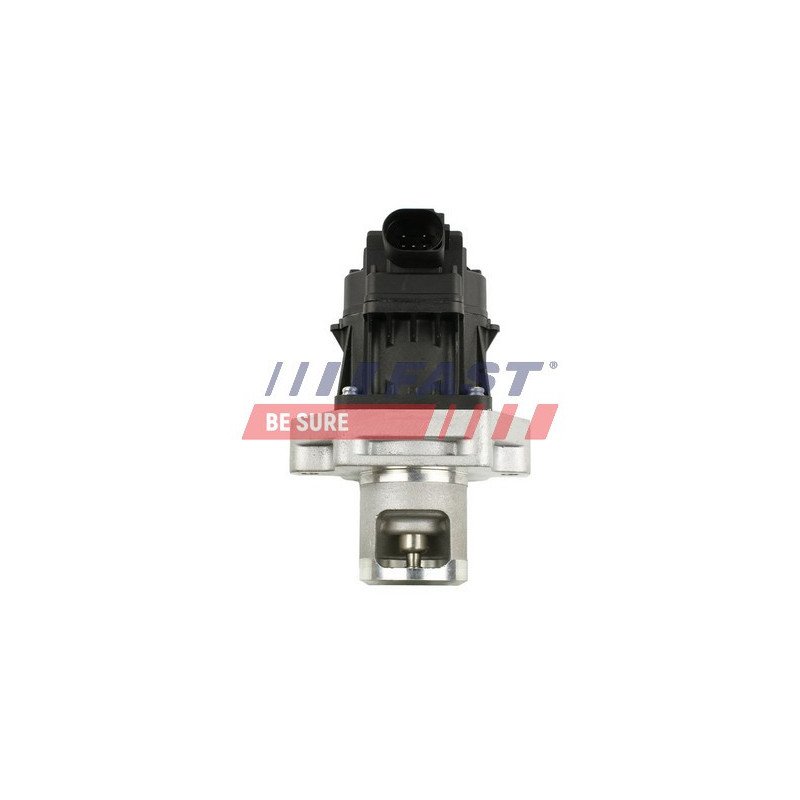 FT60234 EGR Valve