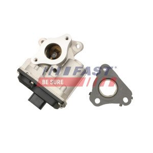 FT60245 EGR Valve