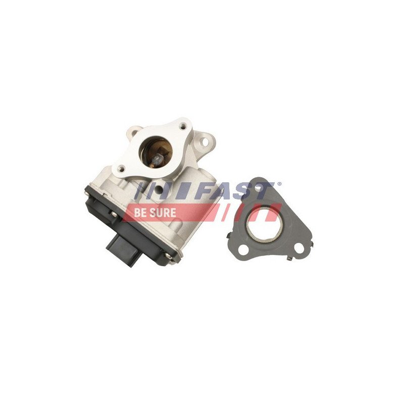 FT60245 EGR Valve