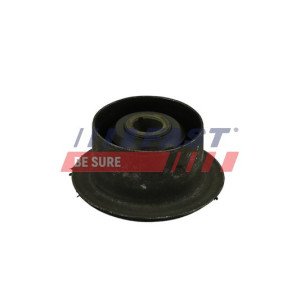 FT18132 Bushing, leaf spring