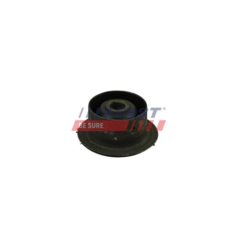 FT18132 Bushing, leaf spring