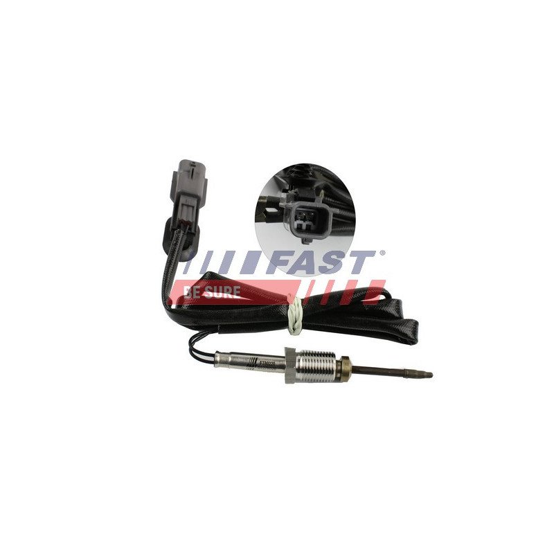FT80220 Sensor, exhaust gas temperature