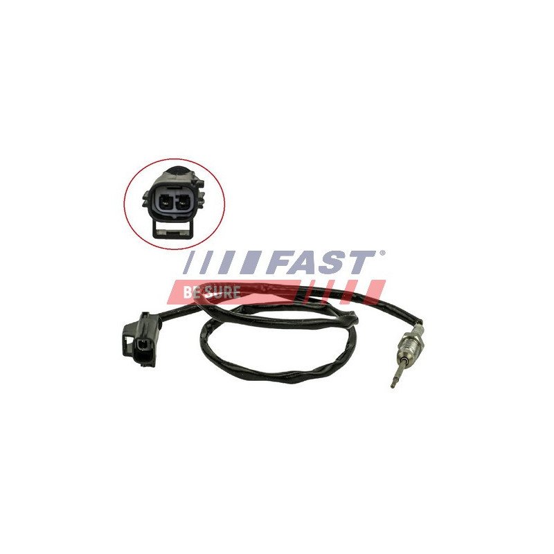 FT80224 Sensor, exhaust gas temperature