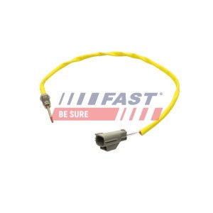 FT80255 Sensor, exhaust gas temperature