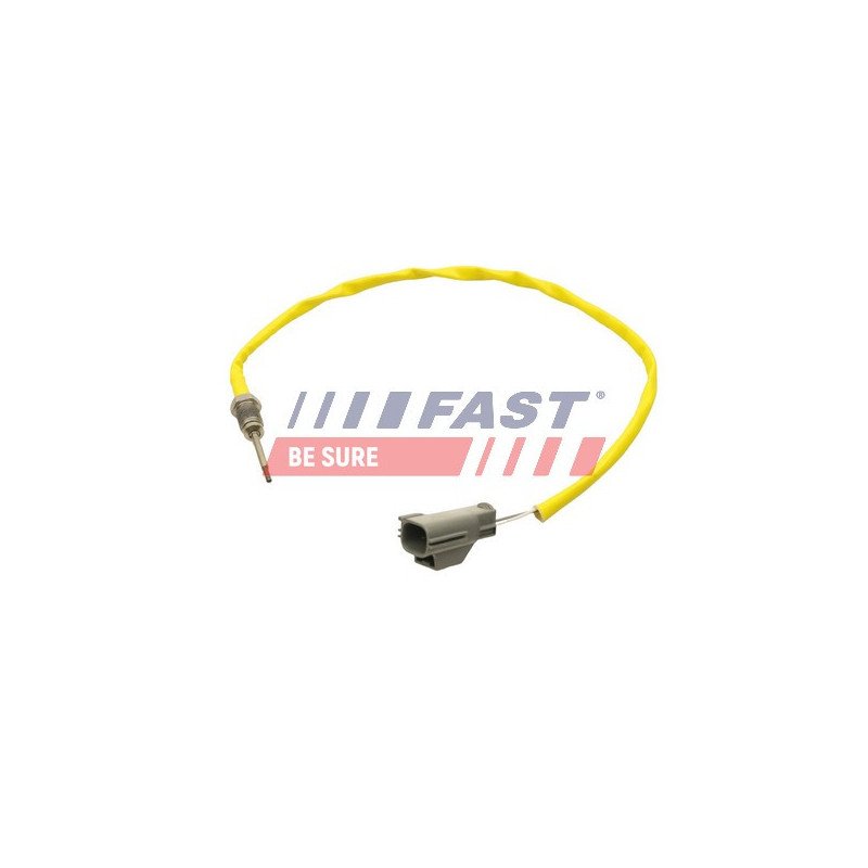 FT80255 Sensor, exhaust gas temperature