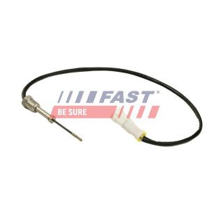 FT80256 Sensor, exhaust gas temperature