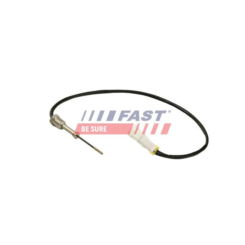 FT80256 Sensor, exhaust gas temperature