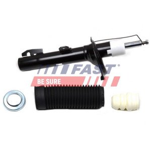 FT11308 Shock Absorber