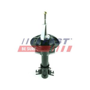 FT11317 Shock Absorber