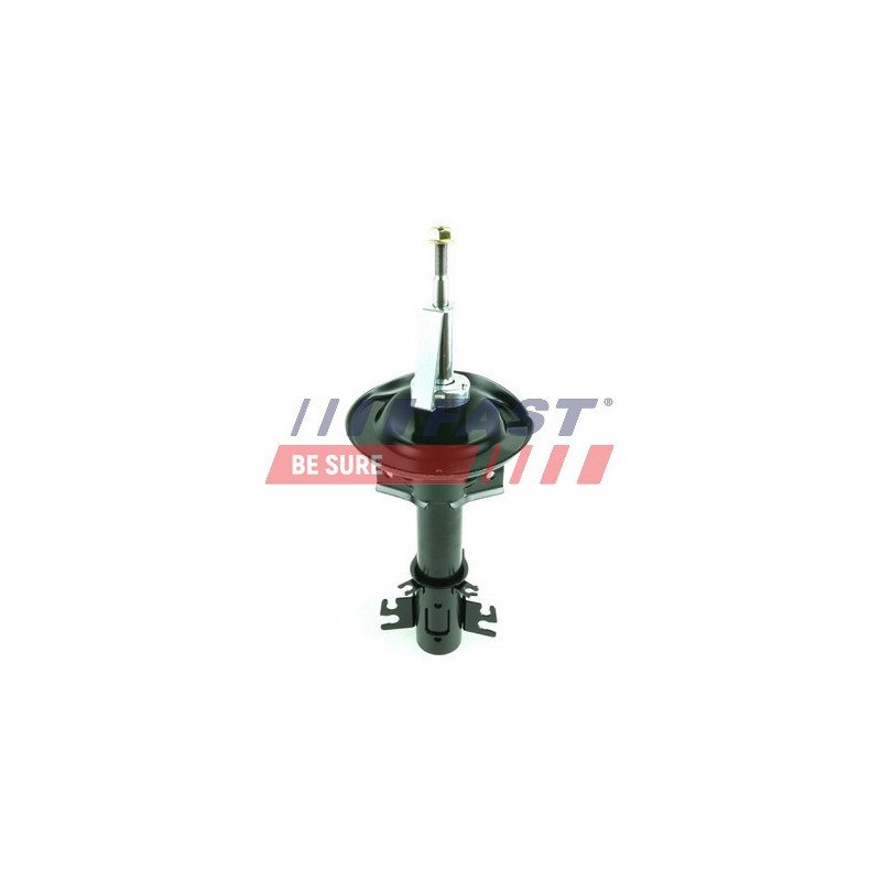 FT11317 Shock Absorber