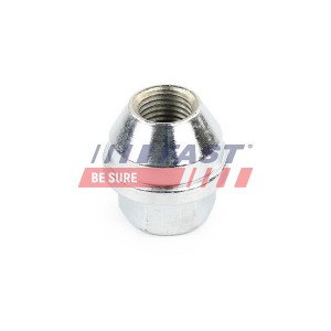 FT21524 Wheel Nut