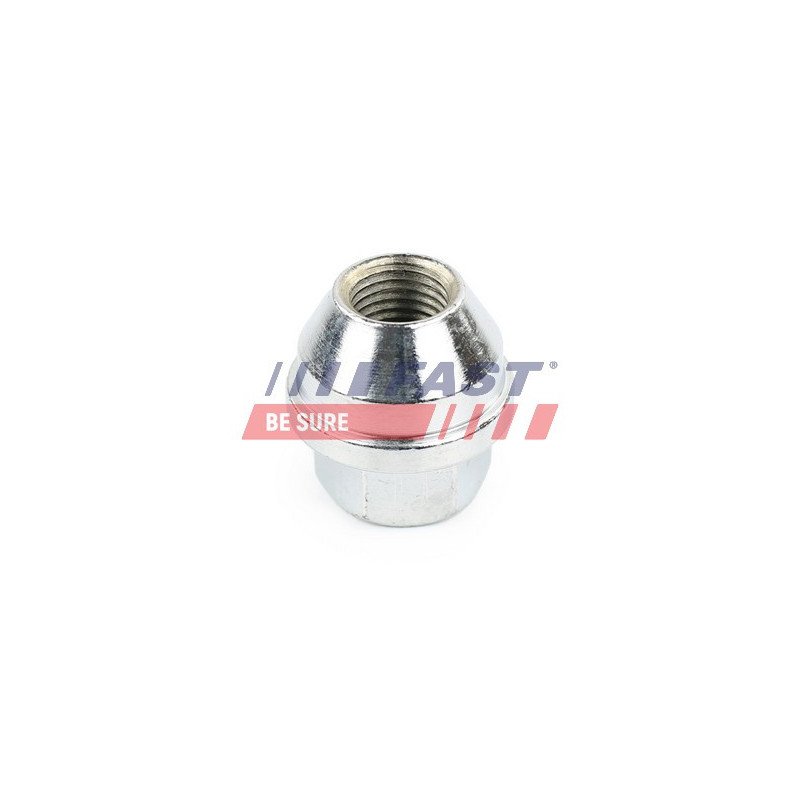 FT21524 Wheel Nut