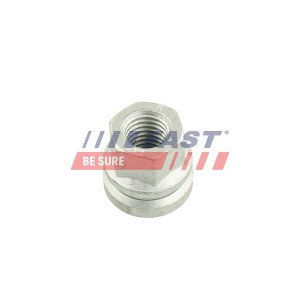 FT21525 Wheel Nut