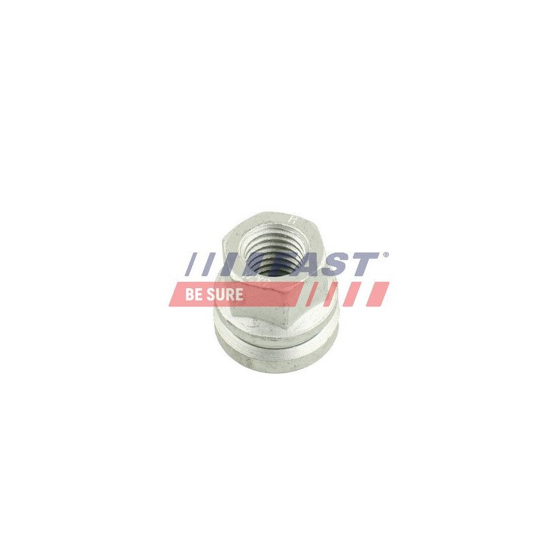 FT21525 Wheel Nut