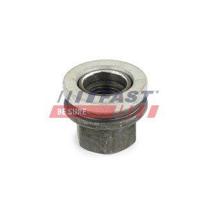 FT21526 Wheel Nut