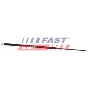 FT94837 Gasveer, kofferruimte