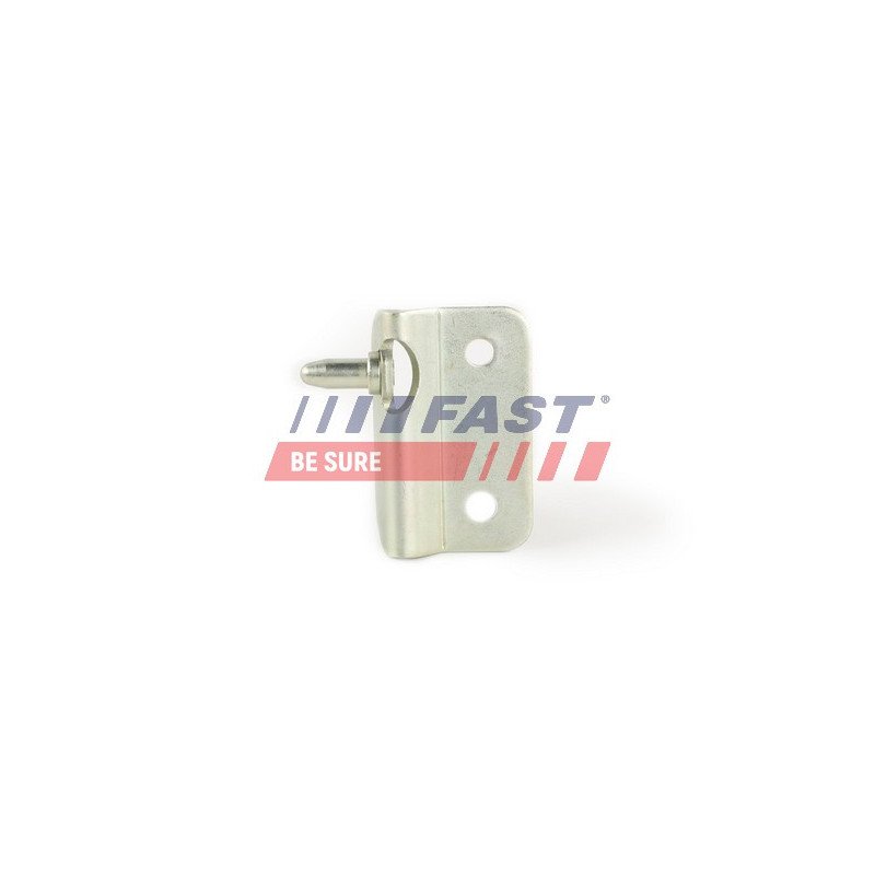 FT95606 Door Hinge