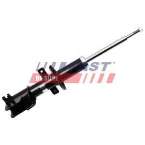 FT11713 Shock Absorber