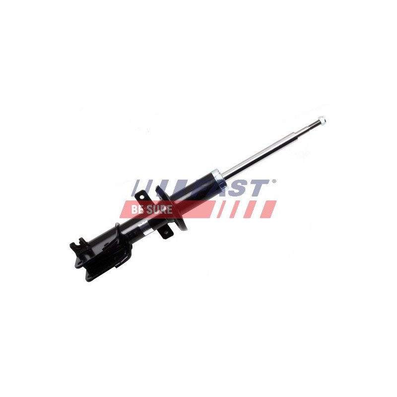FT11713 Shock Absorber