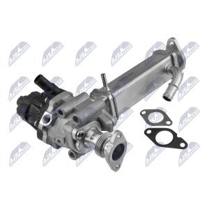 NTYEGRFT017 EGR Module