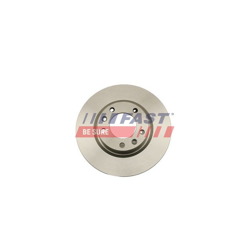 FT31137 Remschijf