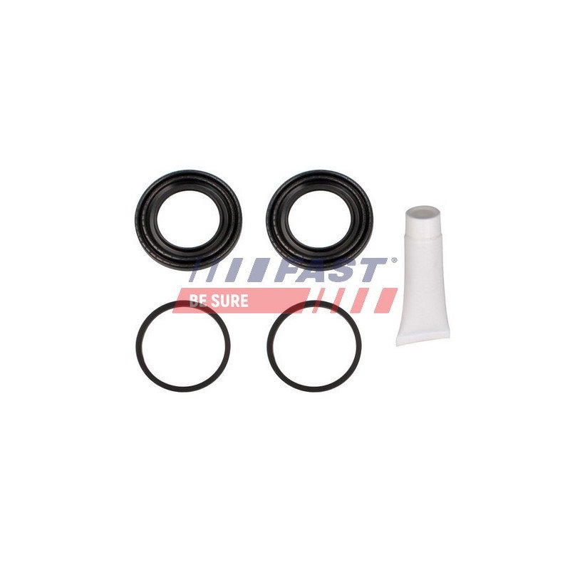 FT32281 Repair Kit, brake caliper