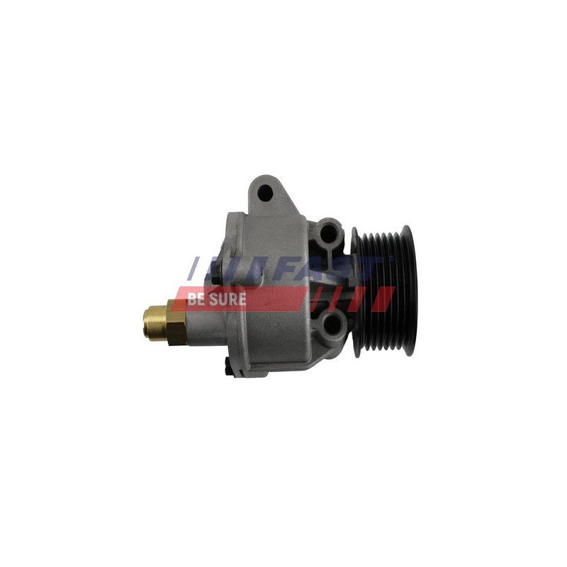 FT36063 Vacuum Pump, braking system