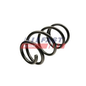 FT12291 Suspension Spring
