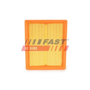 FT37097 Air Filter