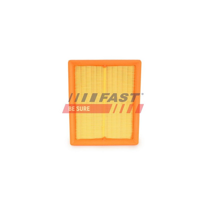 FT37097 Air Filter