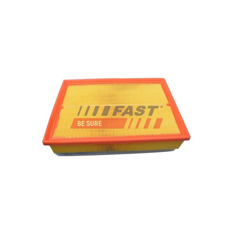 FT37119 Air Filter