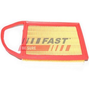 FT37134 Air Filter