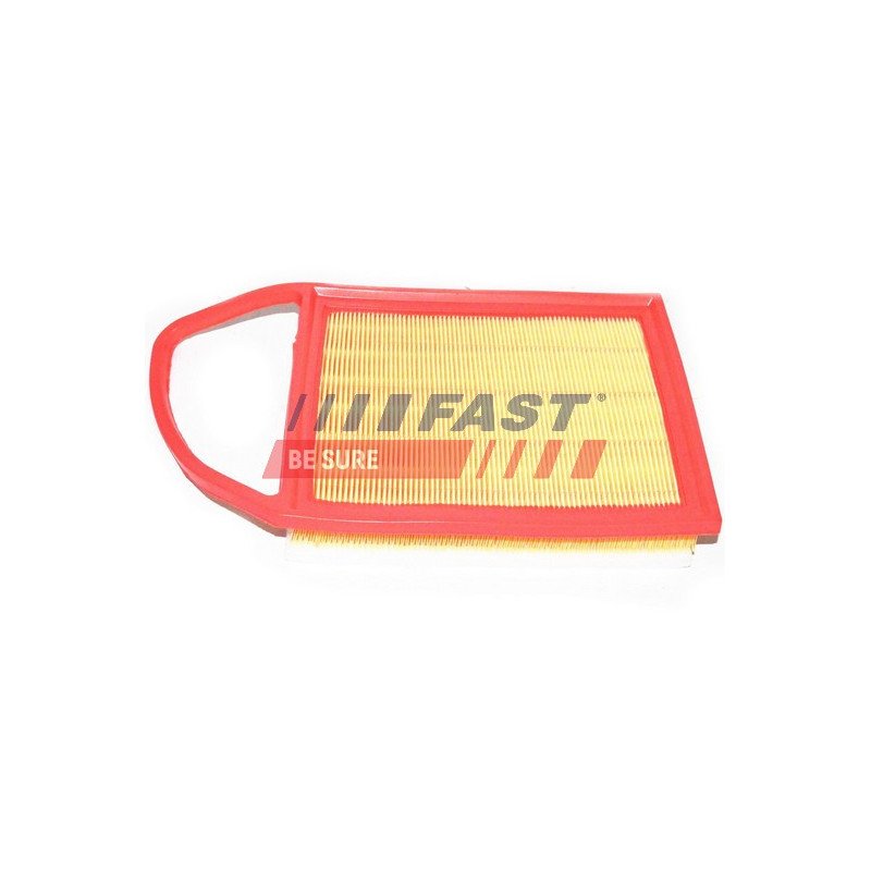 FT37134 Air Filter