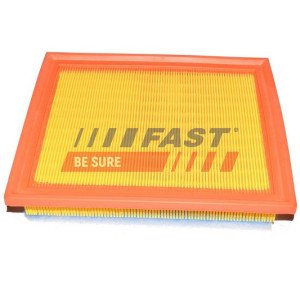 FT37135 Air Filter