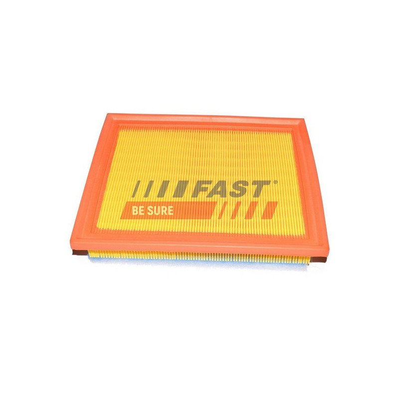 FT37135 Air Filter