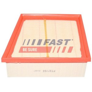 FT37150 Luchtfilter