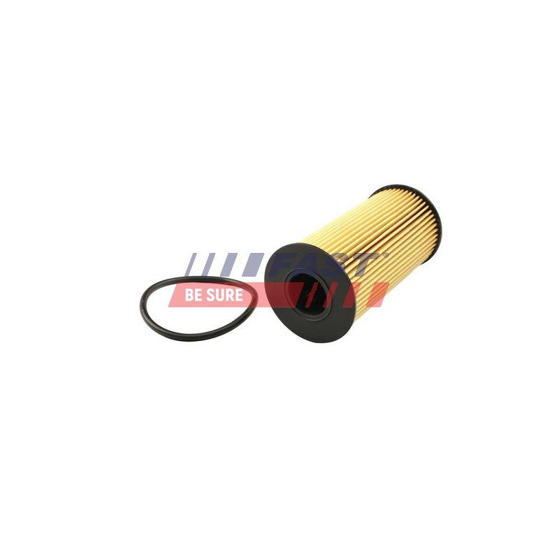 FT38031 Oil Filter