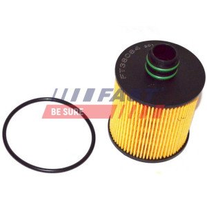 FT38084 Oil Filter