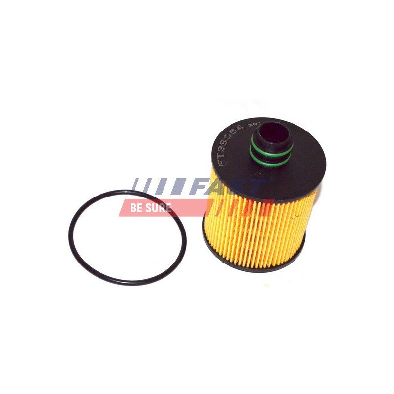 FT38084 Oil Filter