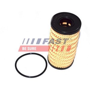 FT38095 Oil Filter