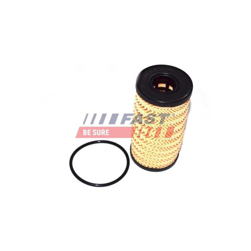 FT38095 Oil Filter