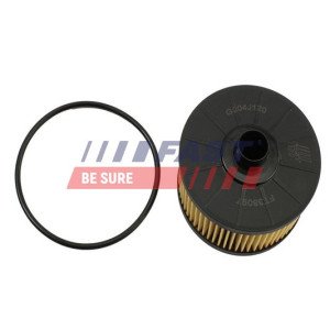 FT38097 Oil Filter
