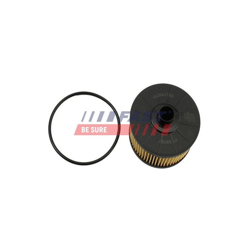 FT38097 Oil Filter