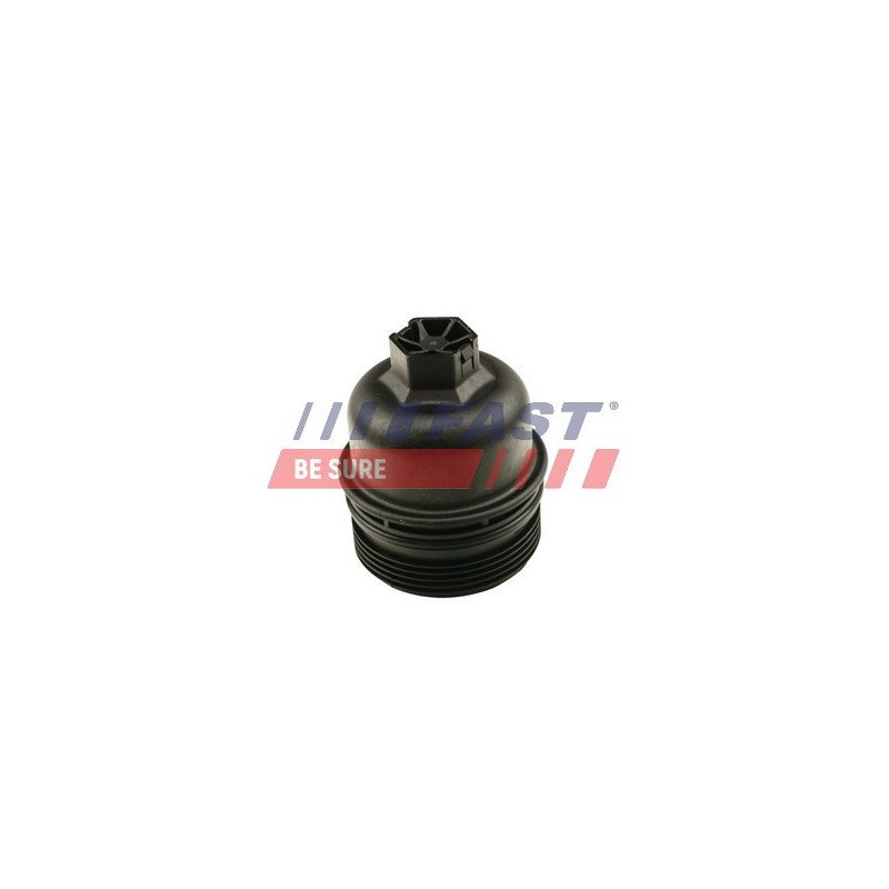 FT38201 Cap, oil filter housing