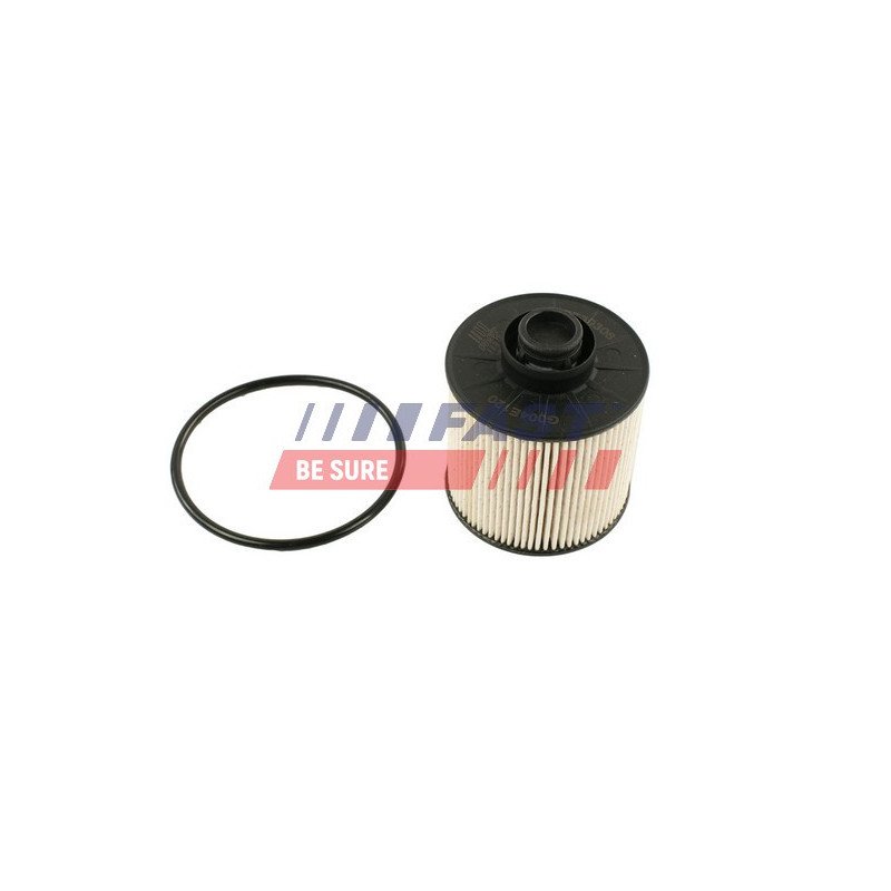 FT39306 Fuel Filter