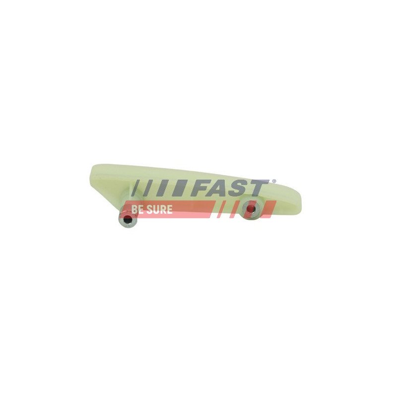 FT41704 Guide, timing chain