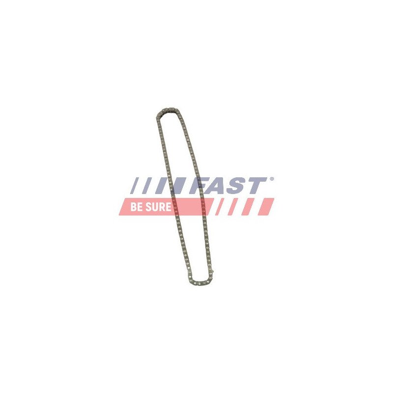 FT41808 Timing Chain