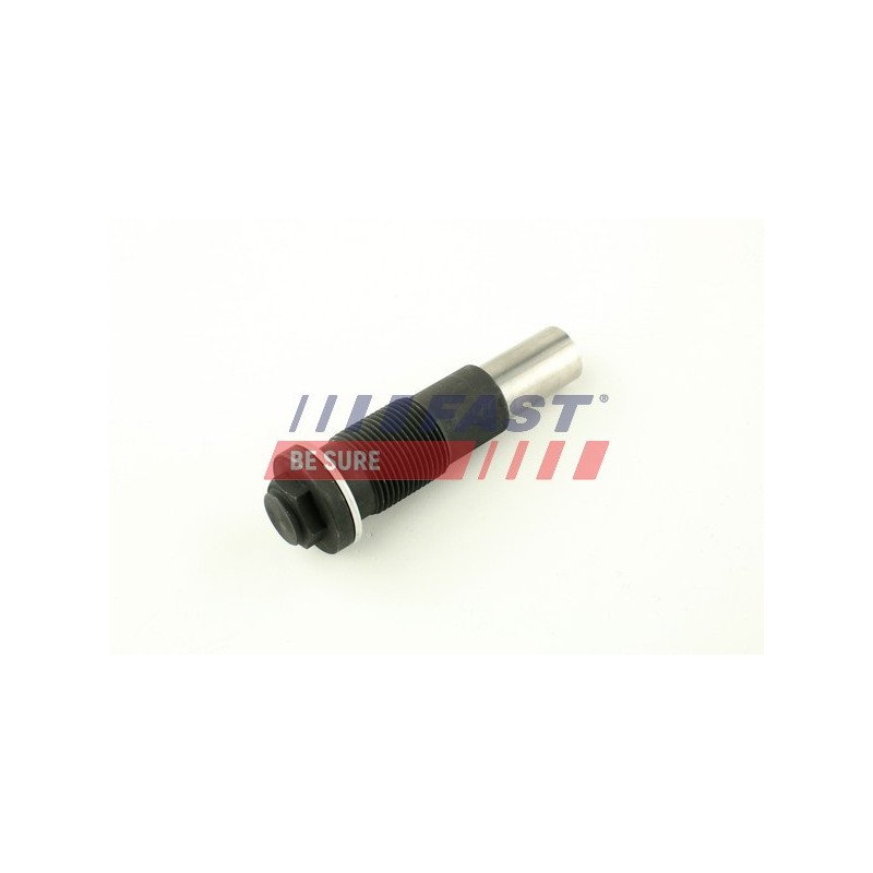 FT44098 Tensioner, timing chain