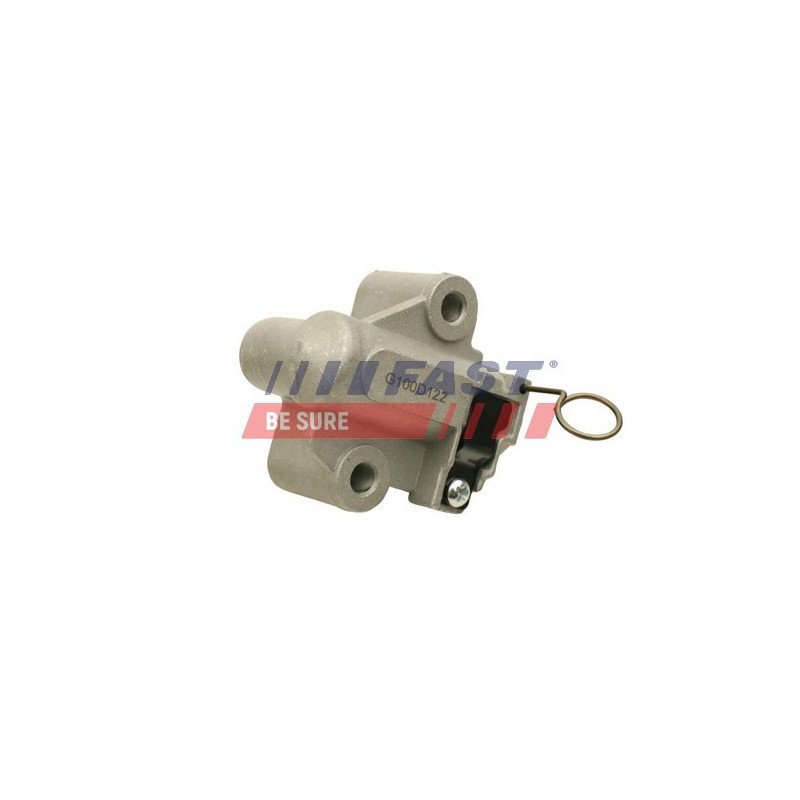 FT44101 Tensioner, timing chain