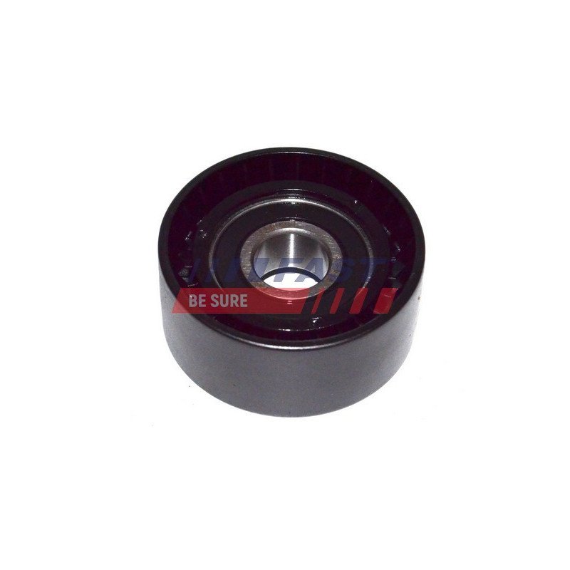 FT44600 Tensioner Pulley, V-ribbed belt